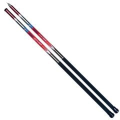 DFT Explorer 300 cm Göl Kamışı 10-30 g