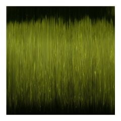 SPRO Ctec Predator 0,30mm 7,6Kg 400M Yeşil 1/1