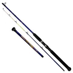DFT Sun Valley 165 cm Bot Kamışı 60-120 g
